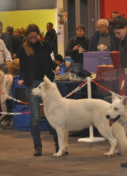 H'shadow du Loup de la Vieille Eglise - T/B