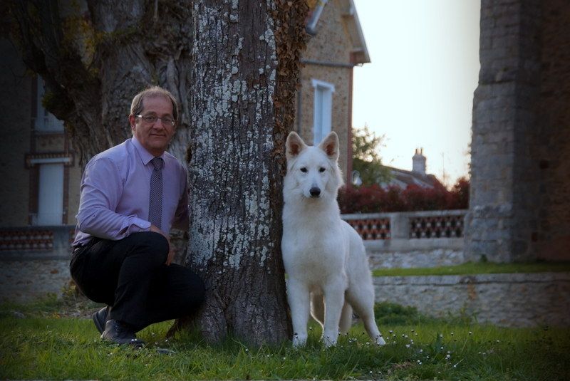 CH. Ornella du Loup de la Vieille Eglise - 1er Excellent Meilleur Jeune .Meilleur de Race BOB