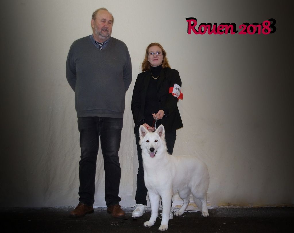 CH. Ornella du Loup de la Vieille Eglise - 1er Tres Prometeur Meilleur Puppy