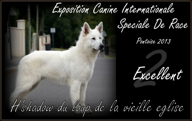 H'shadow du Loup de la Vieille Eglise - 2eme Excellent