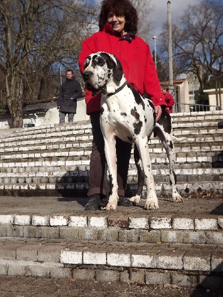 Publication : de la Grisonnière