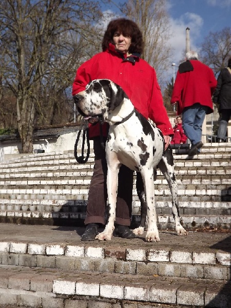 Publication : de la Grisonnière