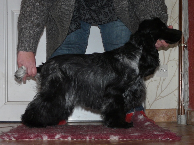 Publication : Givemehope Auteur : givemehope