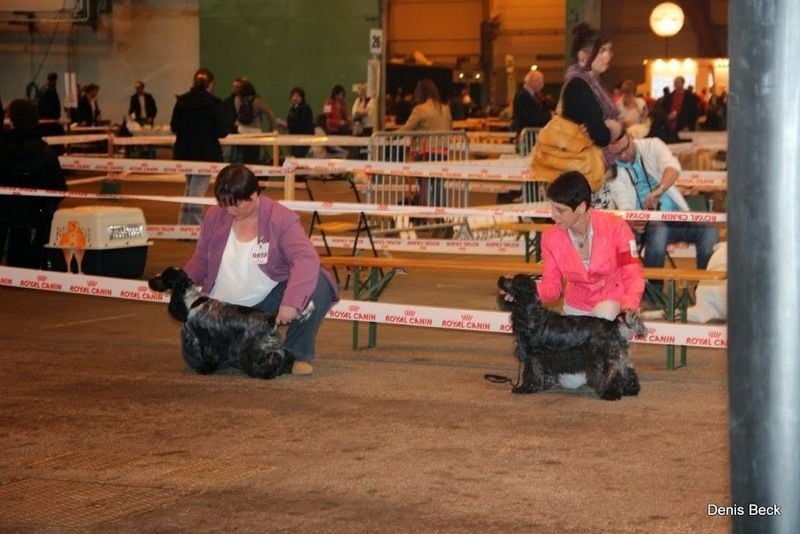 Publication : Givemehope Auteur : givemehope