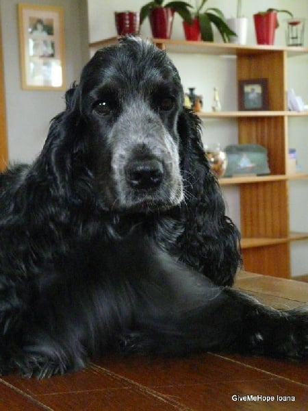 Publication : Givemehope Auteur : givemehope