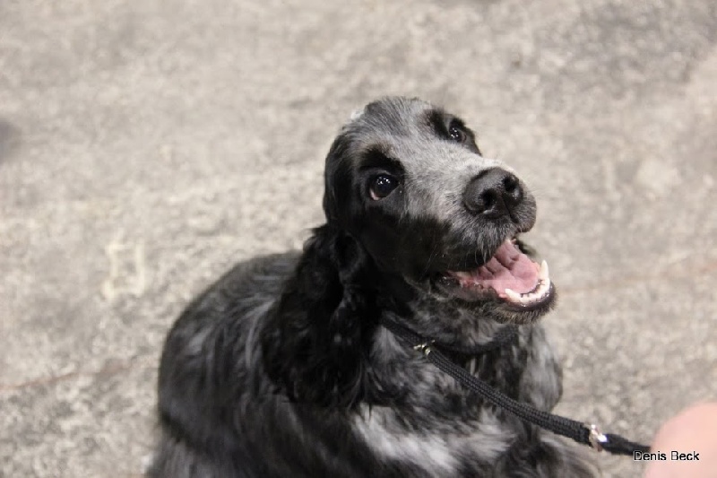 Publication : Givemehope Auteur : givemehope