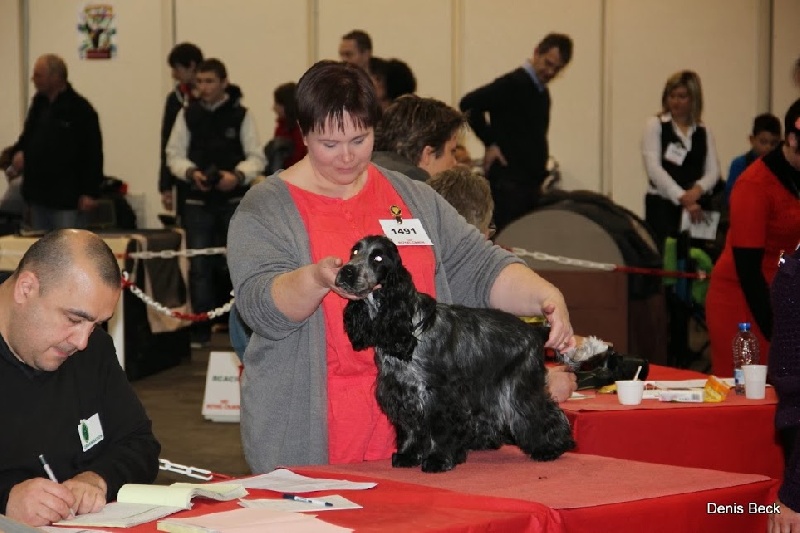 Publication : Givemehope Auteur : givemehope