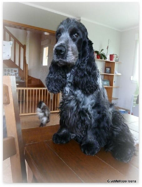 Publication : Givemehope Auteur : givemehope