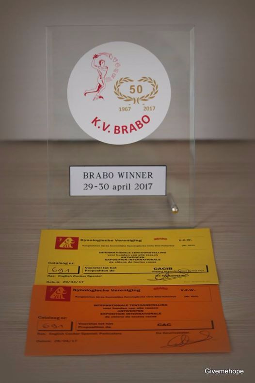 TR. Givemehope Loreleï-fantasy - Exc,1, CAC, CACIB