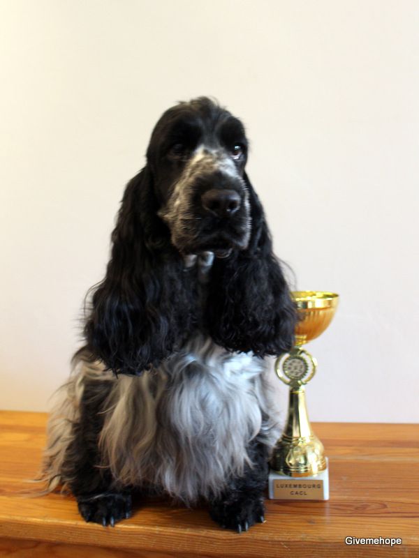 TR. Givemehope Loreleï-fantasy - Excellent 1, CACL