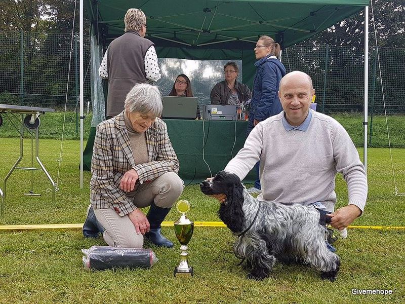 TR. Givemehope Loreleï-fantasy - V1, CAC-VDH, CAC-Klub, BOB et BIS