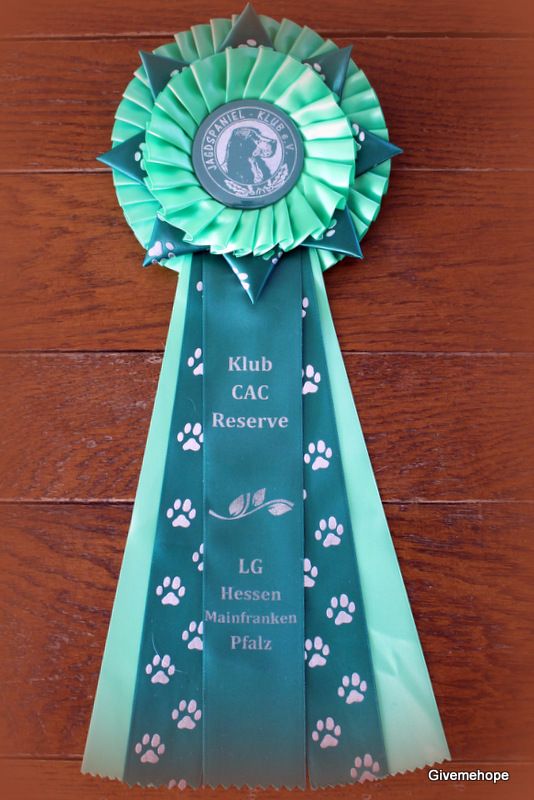 TR. Givemehope Loreleï-fantasy - excellent 1, VDH-CAC, Klub-CAC-Res.