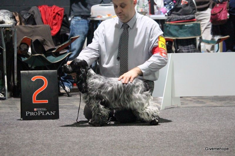 TR. Givemehope Loreleï-fantasy - Viel Versprechend (Très prometteur), 2ème