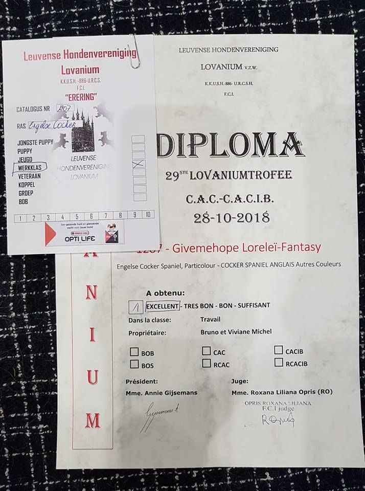 TR. Givemehope Loreleï-fantasy - excellent, 1ère, BOB travail