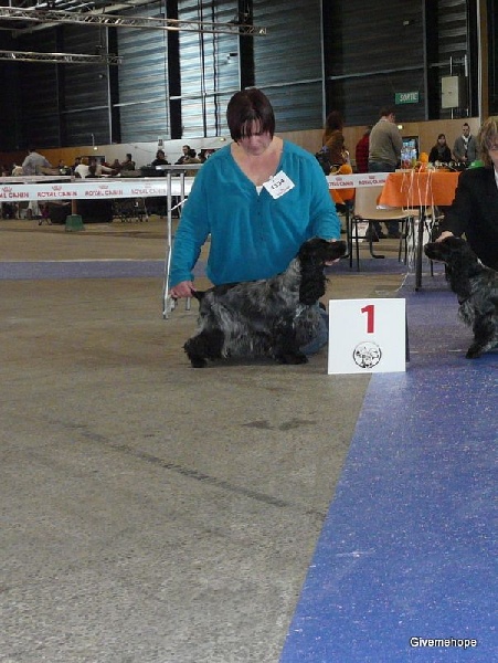 Givemehope Ioana - excellent, 1, Meilleur Jeune