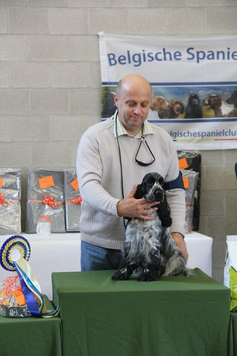 TR. Givemehope Loreleï-fantasy - excellent, 1ère, BOB travail