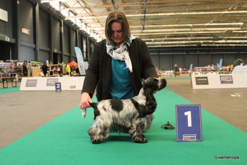 TR. Givemehope Loreleï-fantasy - Excellent,1, BOB travail