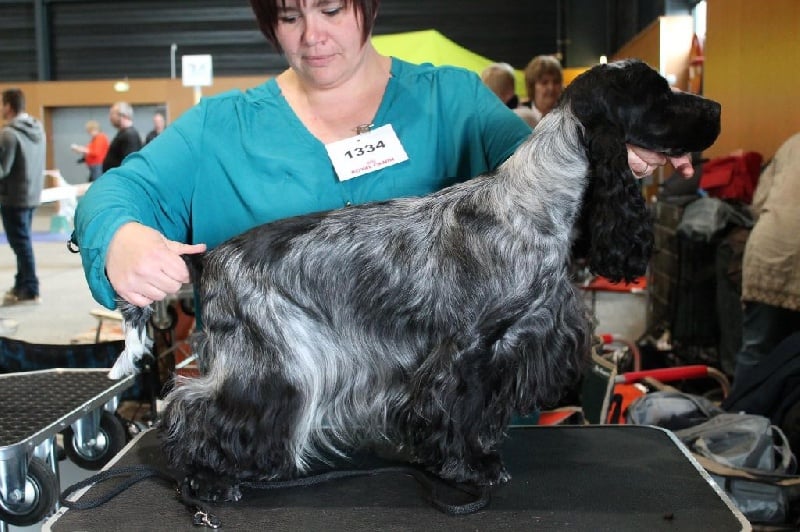 Givemehope Ioana - excellent, 1, classe jeune