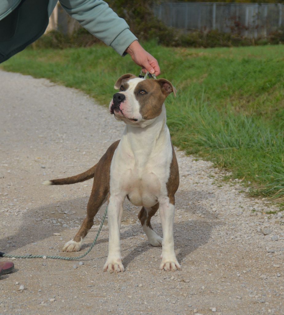 Ultimate Truth Requiem for a dream