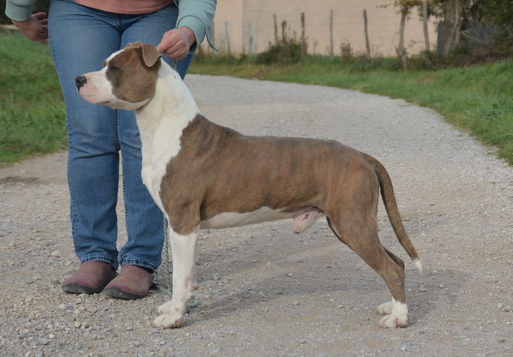 Ultimate Truth Requiem for a dream