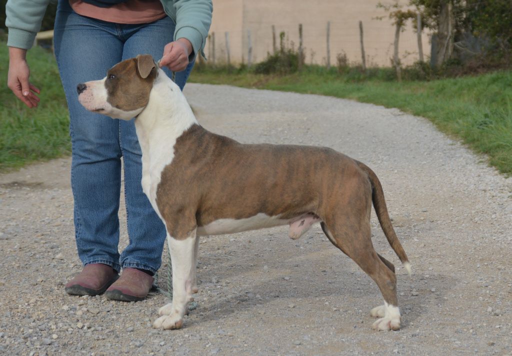 Ultimate Truth Requiem for a dream