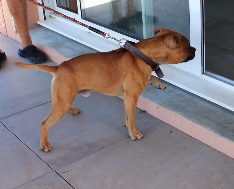 Publication : of Kaughan Auteur : lagrange