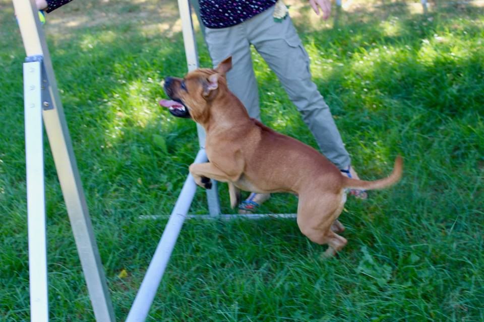 Publication : of Kaughan Auteur : lagrange