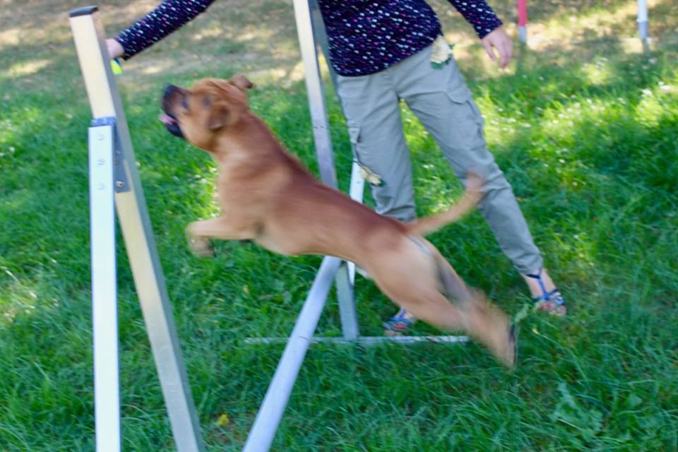 Publication : of Kaughan Auteur : lagrange