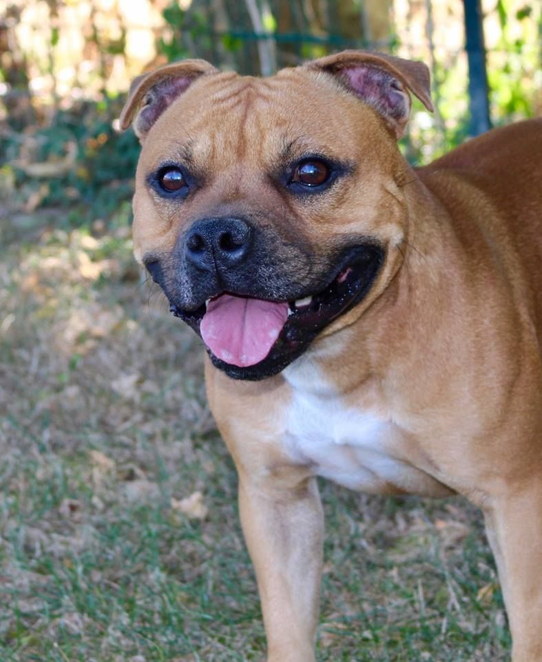 Publication : of Kaughan Auteur : lagrange