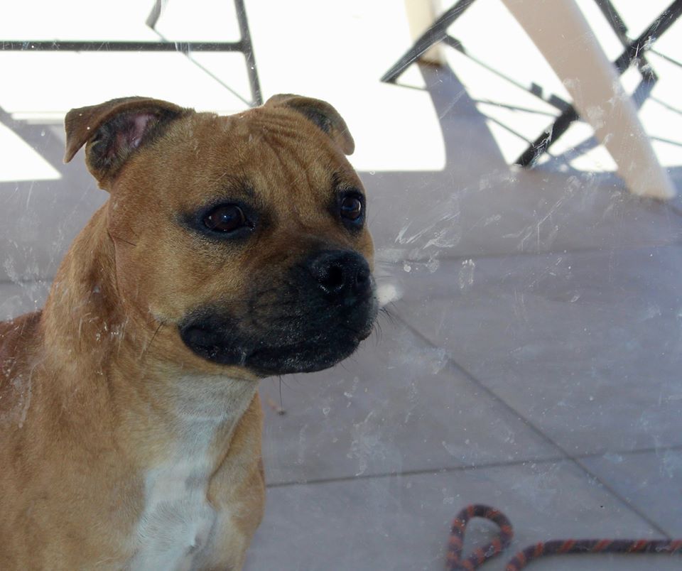 Publication : of Kaughan Auteur : lagrange