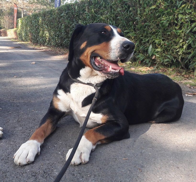 Publication : Blue Moon Secrets Auteur : Maud AUTERLOT