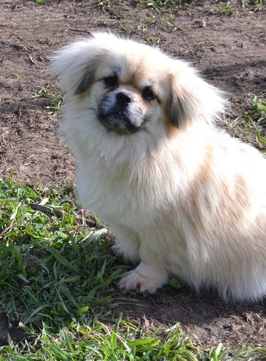 Publication : Blue Moon Secrets Auteur : Maud AUTERLOT