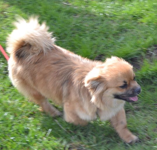 Publication : Blue Moon Secrets Auteur : Maud AUTERLOT