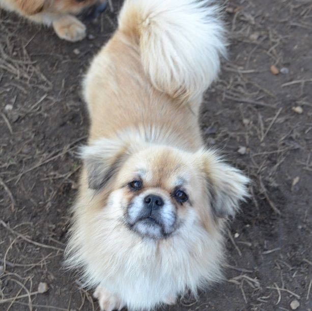 Publication : Blue Moon Secrets Auteur : Maud AUTERLOT