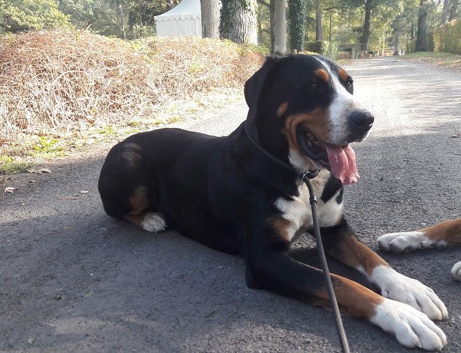 Publication : Blue Moon Secrets Auteur : Maud AUTERLOT