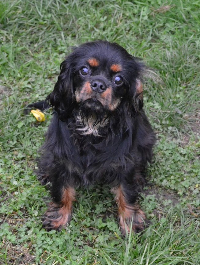 Publication : Blue Moon Secrets Auteur : Maud AUTERLOT