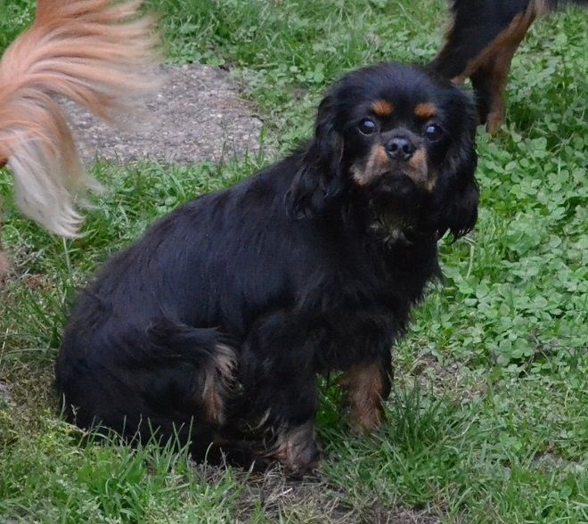 Publication : Blue Moon Secrets Auteur : Maud AUTERLOT