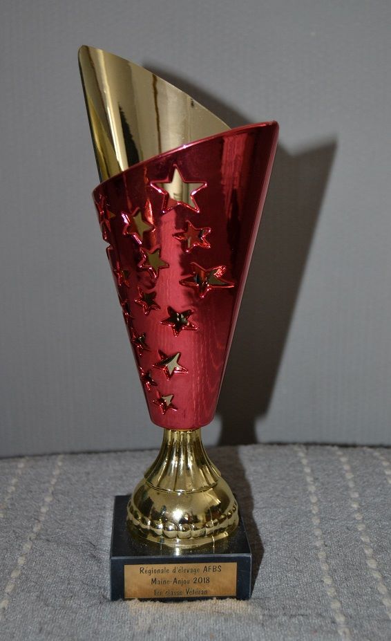 CH. Dark full moon (full moon) du Val de la Grande Eau - 1er EXC + Meilleur Vétéran