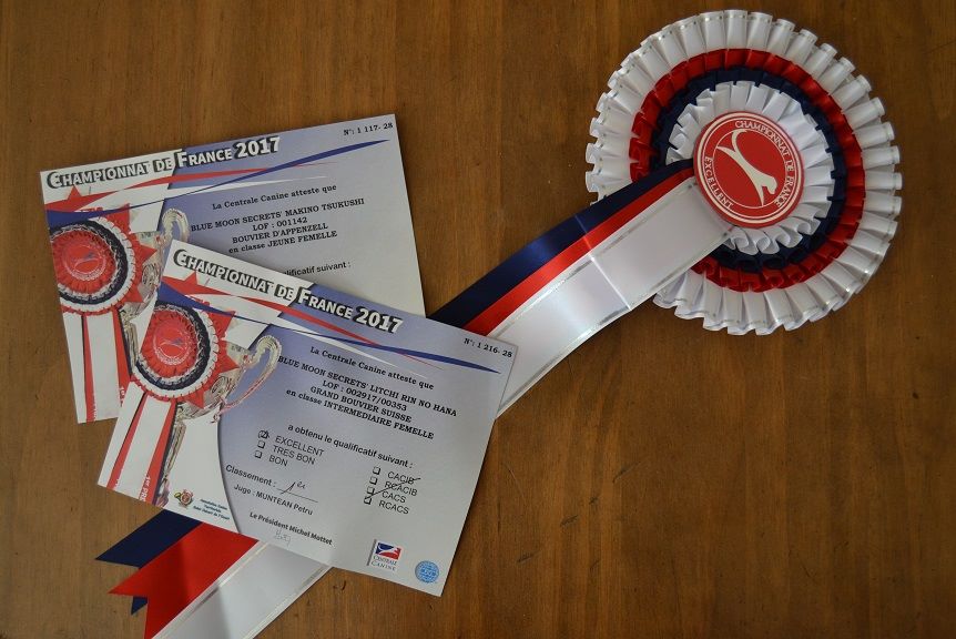 Blue Moon Secrets Litchi rin no hana (tchoup) - 1er EXCELLENT