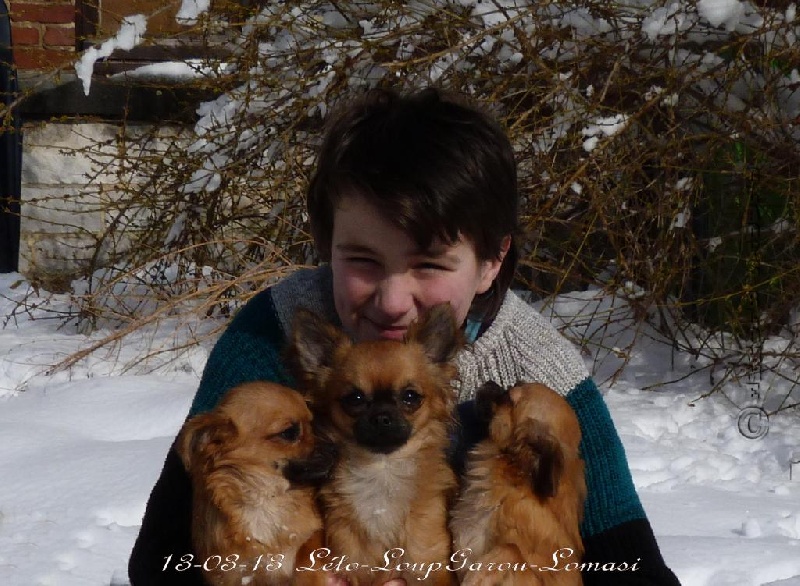 Publication : Souvenir Cheyenne Auteur : Gladys Blomme