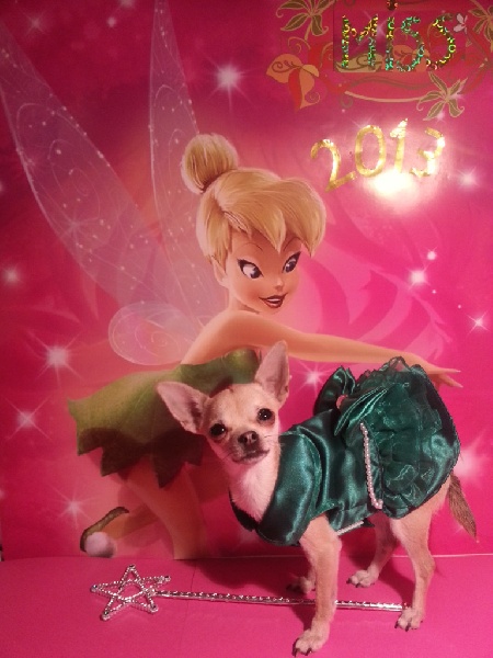 Klochette Souvenir Cheyenne