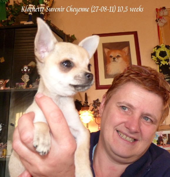 Klochette Souvenir Cheyenne