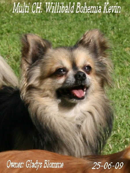 Publication : Souvenir Cheyenne Auteur : Gladys Blomme