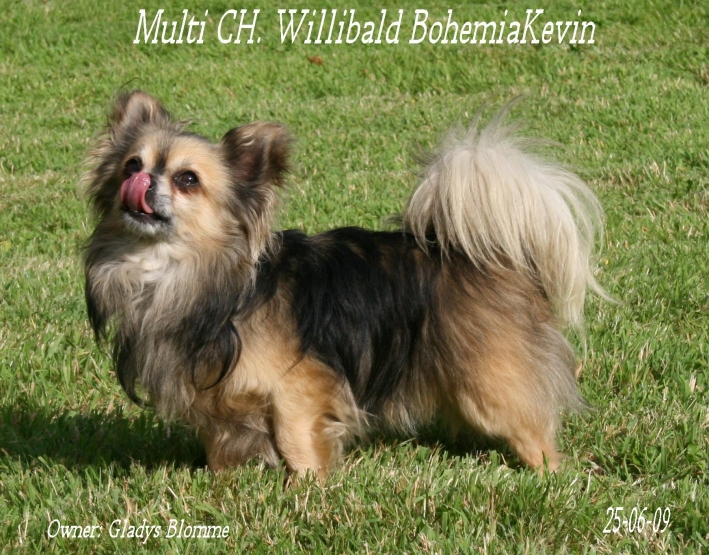 Publication : Souvenir Cheyenne Auteur : Gladys Blomme