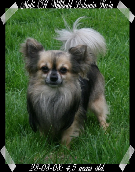 Publication : Souvenir Cheyenne Auteur : Gladys Blomme