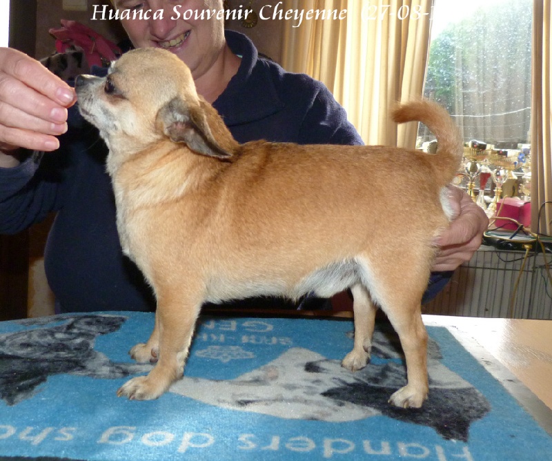 Huanca Souvenir Cheyenne