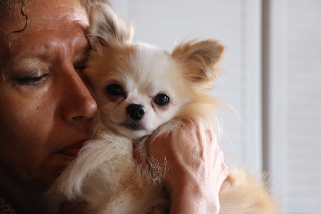 Publication : Souvenir Cheyenne Auteur : Gladys Blomme