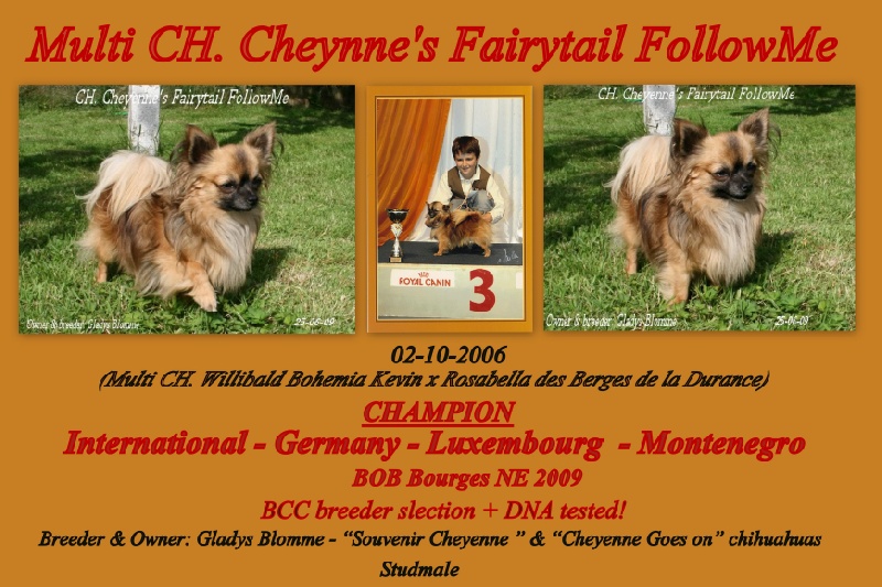 Publication : Souvenir Cheyenne Auteur : Gladys Blomme