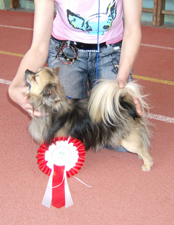 Publication : Souvenir Cheyenne Auteur : Gladys Blomme