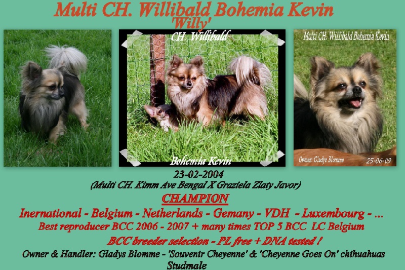 Publication : Souvenir Cheyenne Auteur : Gladys Blomme